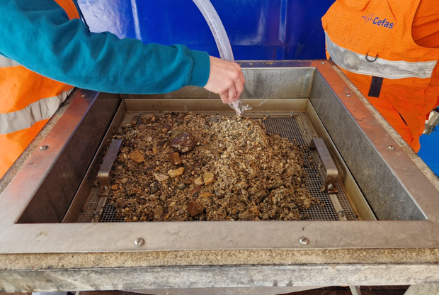 Close-up of scientists cleaning a tray of seabed samples using a hose.